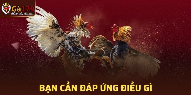 Bạn cần đáp ứng điều gì khi tham gia