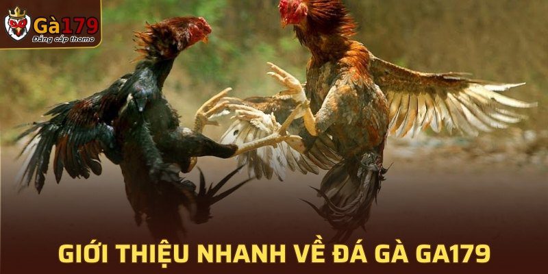 Giới thiệu nhanh về đá gà GA179