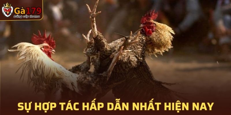 Sự hợp tác hấp dẫn nhất hiện nay